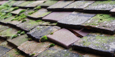 Kilton roof repair costs